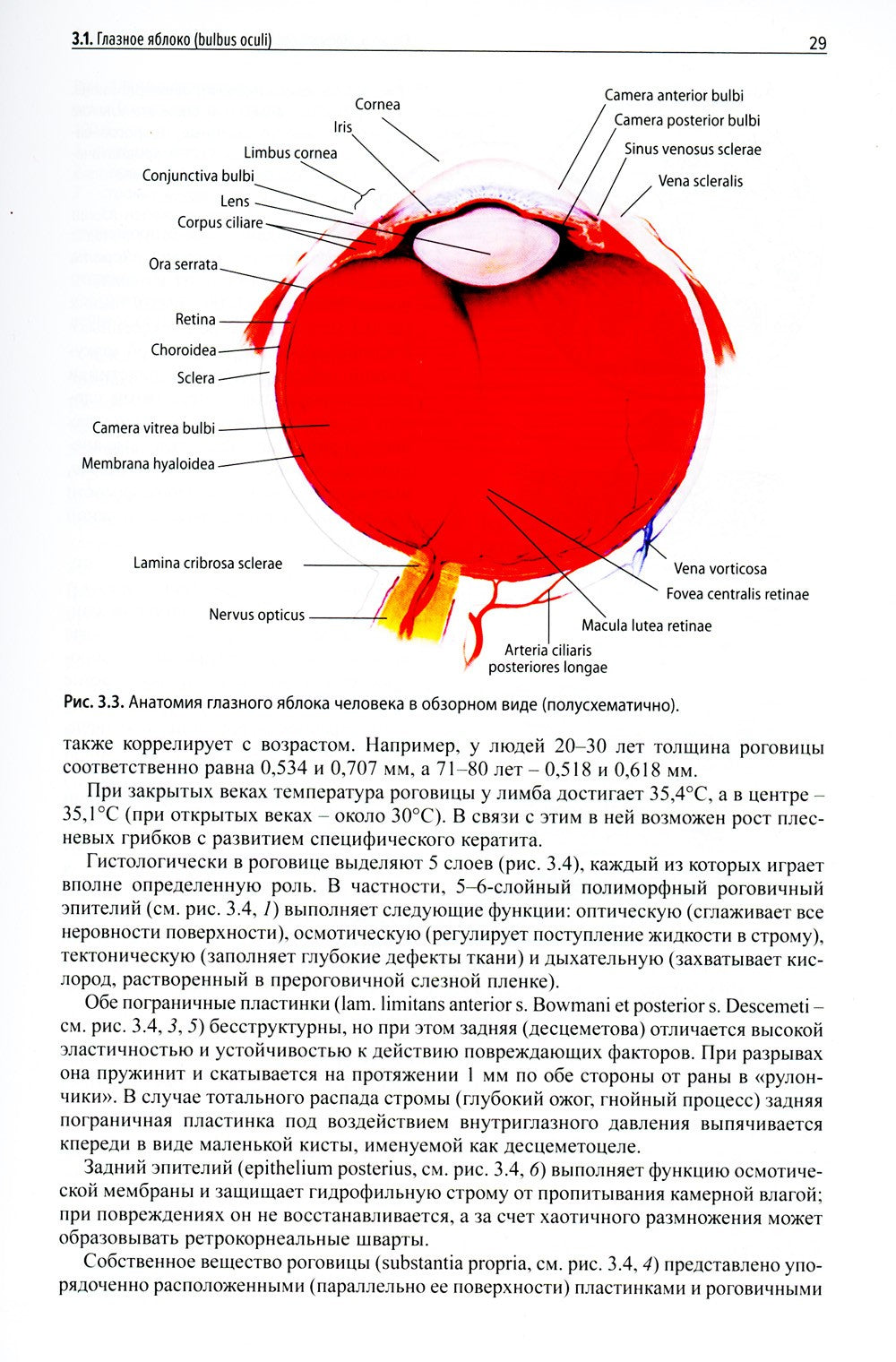 Клиническая офтальмология. 5-е изд., перераб. и доп. (пер.)