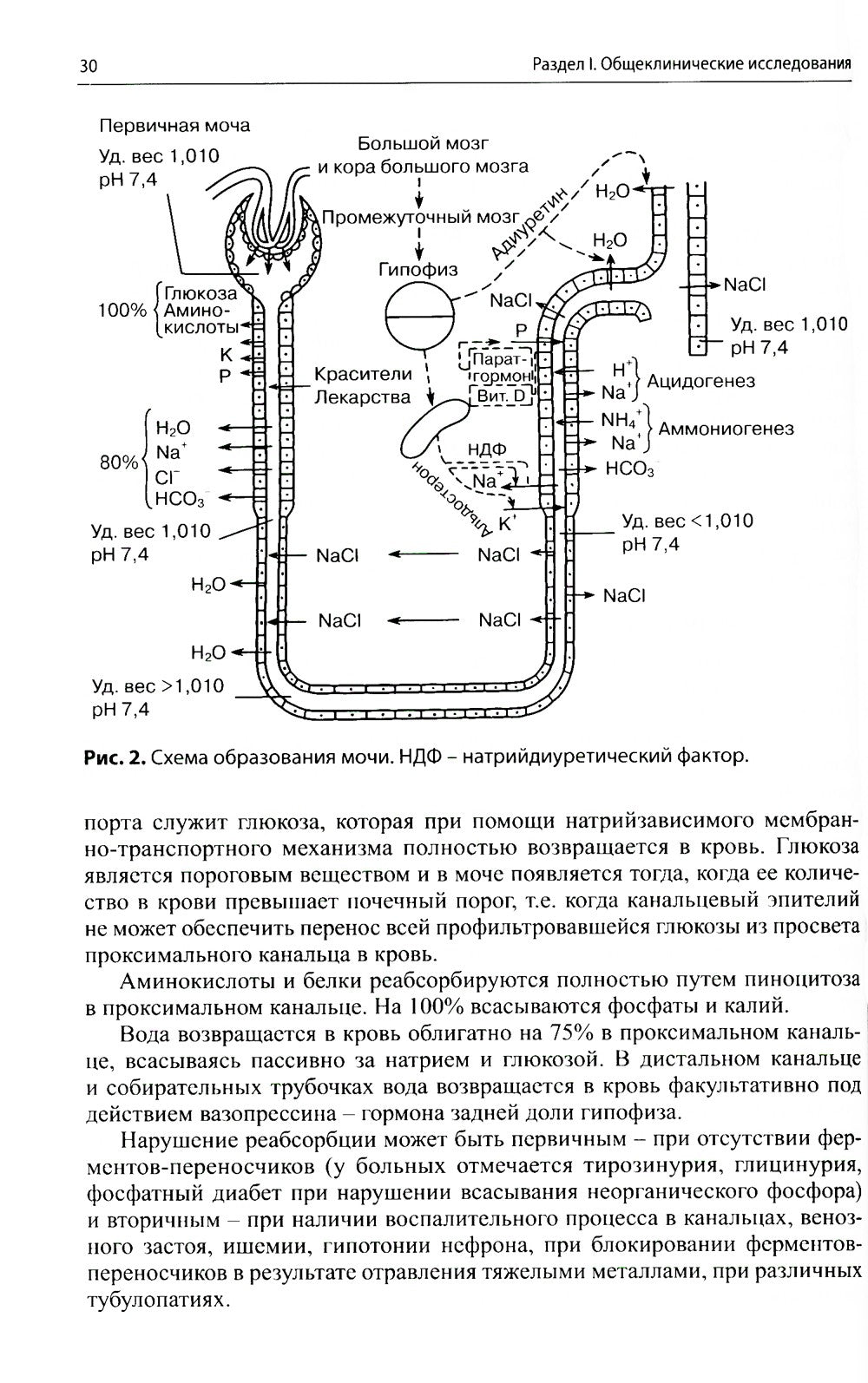 Клиническая лабораторная диагностика (методы и трактовка лабораторных исследо...
