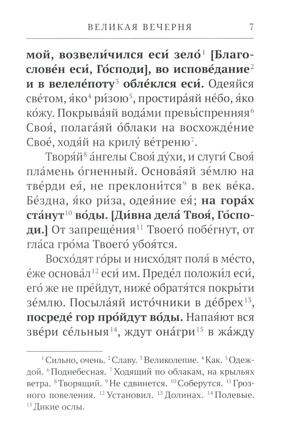 Всенощное бдение. Литургия: Разъяснение церковного богослужения