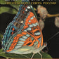 Дневные бабочки Европейского Севера России: Атлас-определитель
