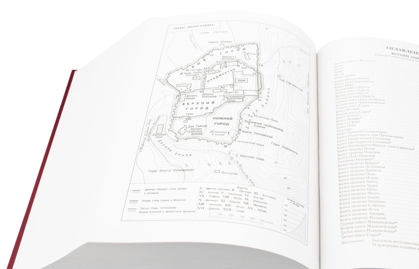 Библия. Книги Священного Писания Ветхого и Нового Завета