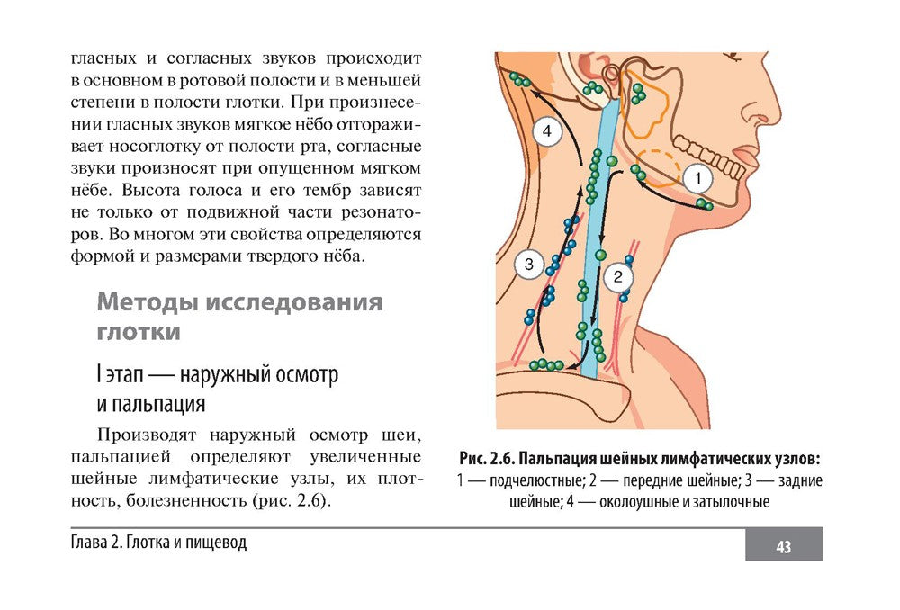 Клинические нормы. Оториноларингология