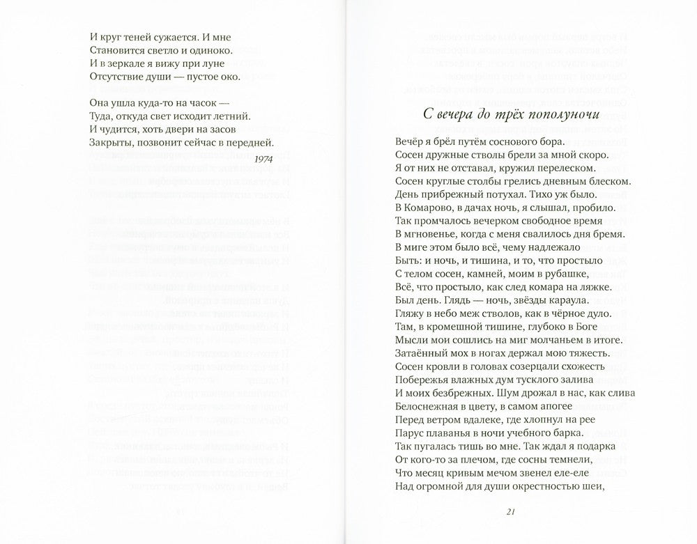 В среде пустот: стихотворения, поэмы