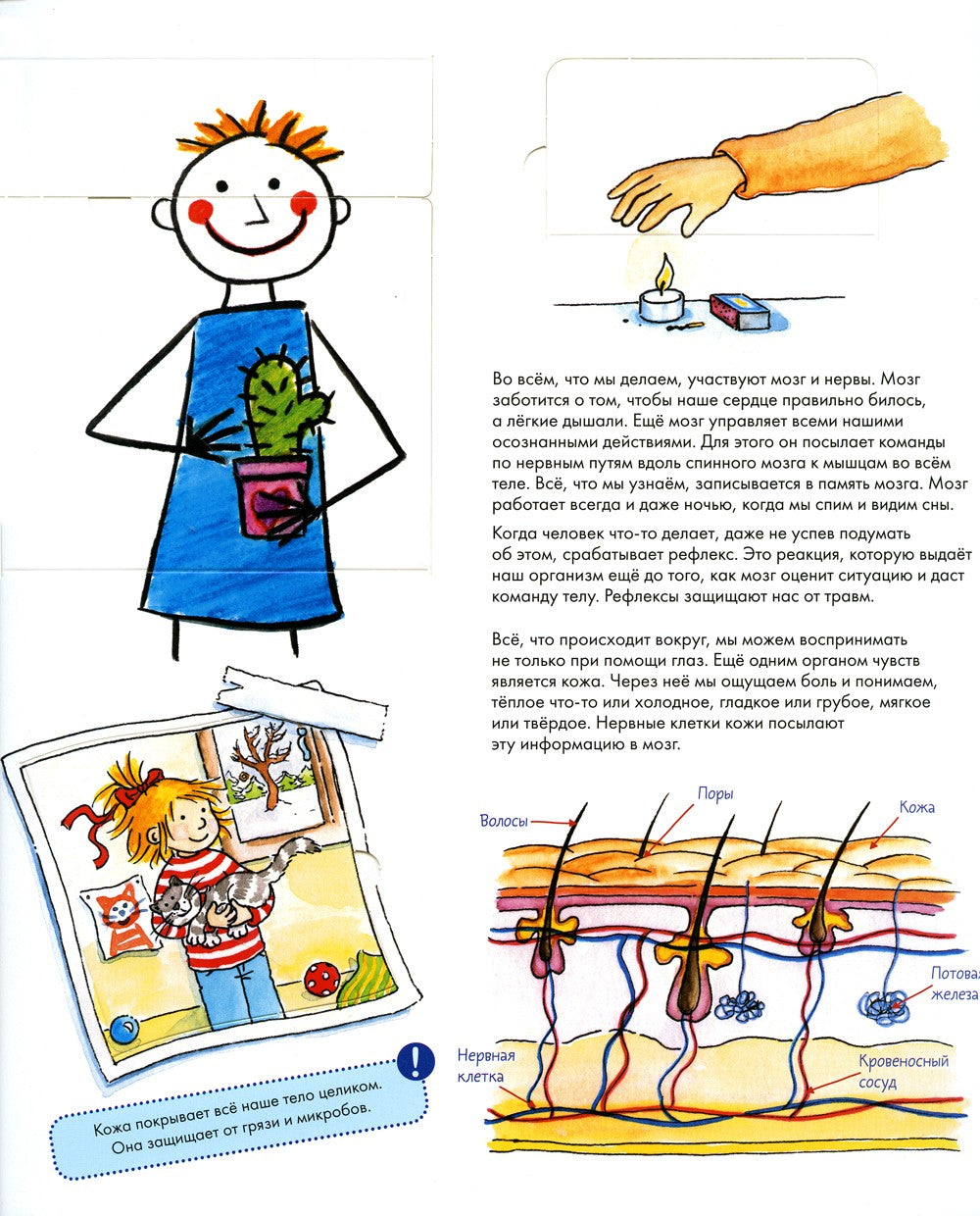 Конни изучает тело