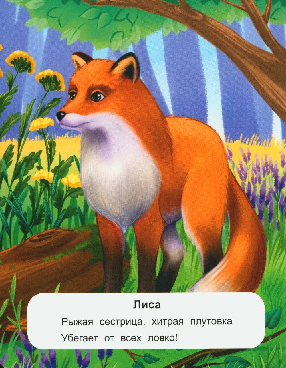 Лесные животные: стихи