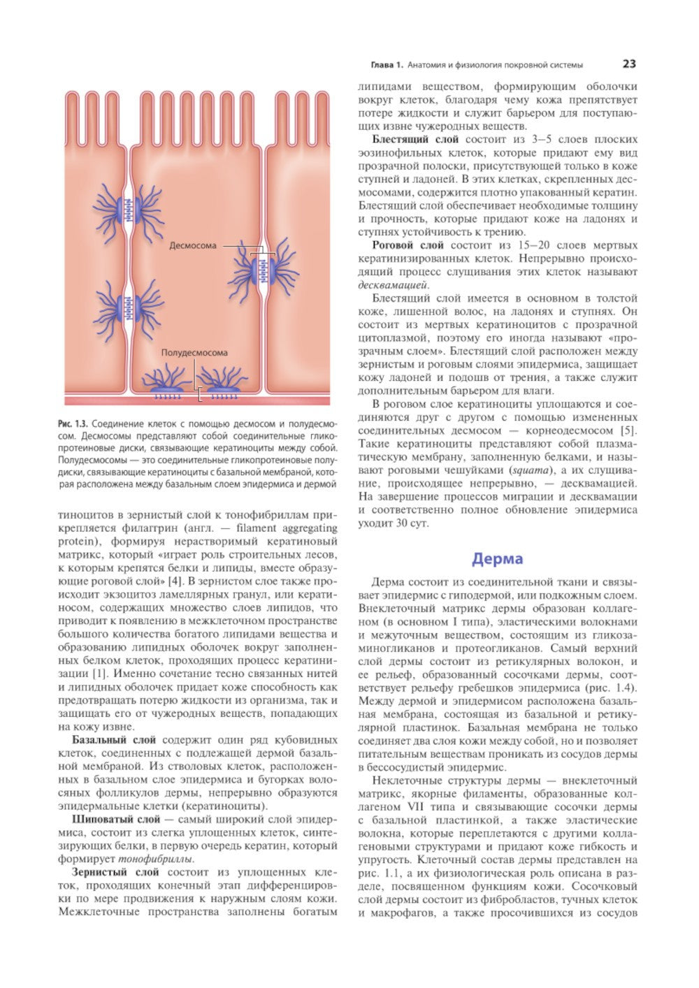 Раны. Диагностика и лечение. Атлас-справочник