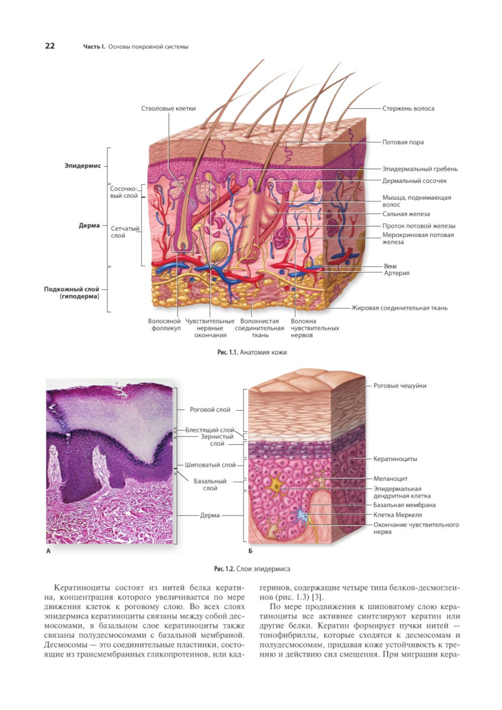 Раны. Диагностика и лечение. Атлас-справочник