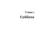 Отслойка: роман