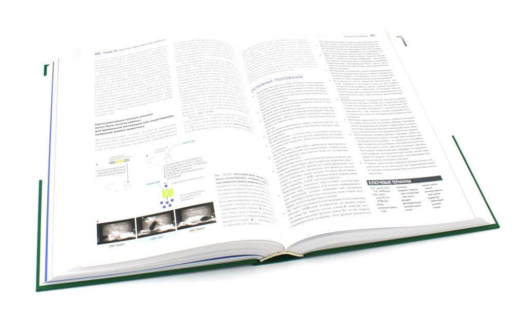 Основы молекулярной биологии клетки. 3-е изд., полн., перераб. и расш