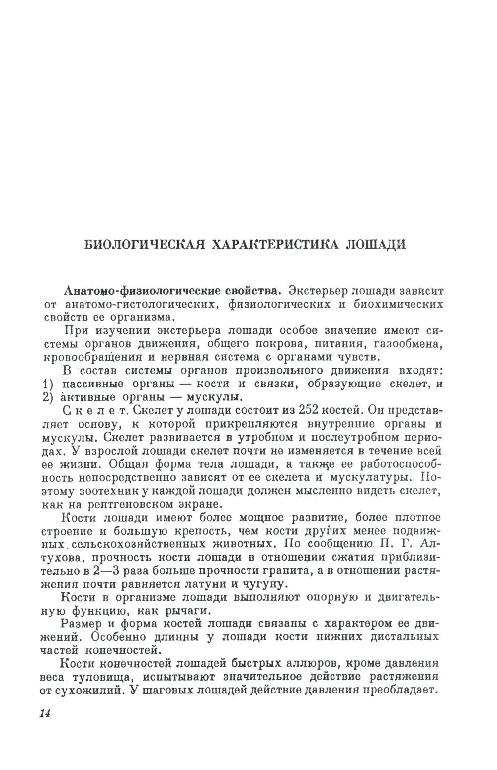 Экстерьер лошади