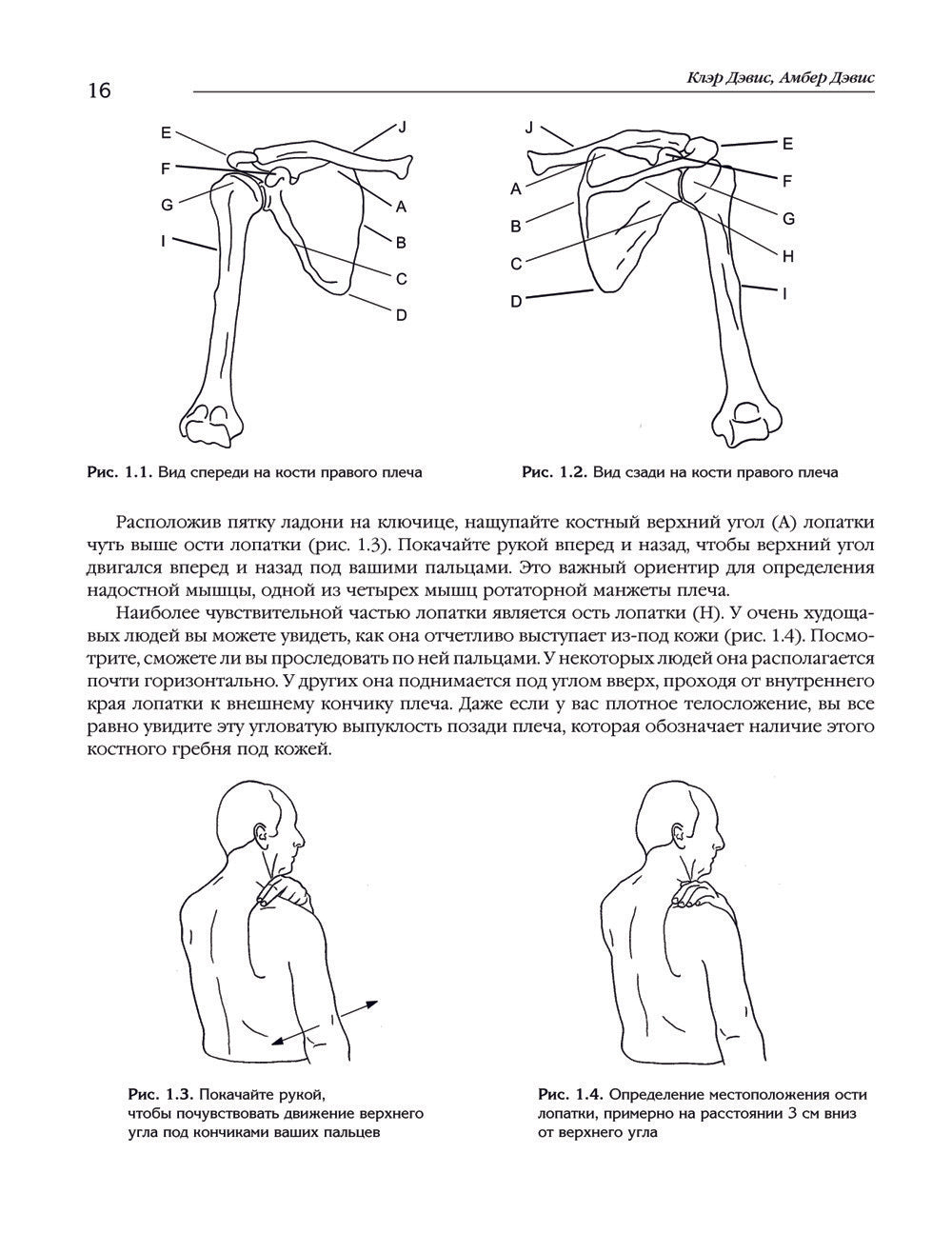Синдром "замороженного" плеча. Терапия триггерных точек для преодоления боли ...