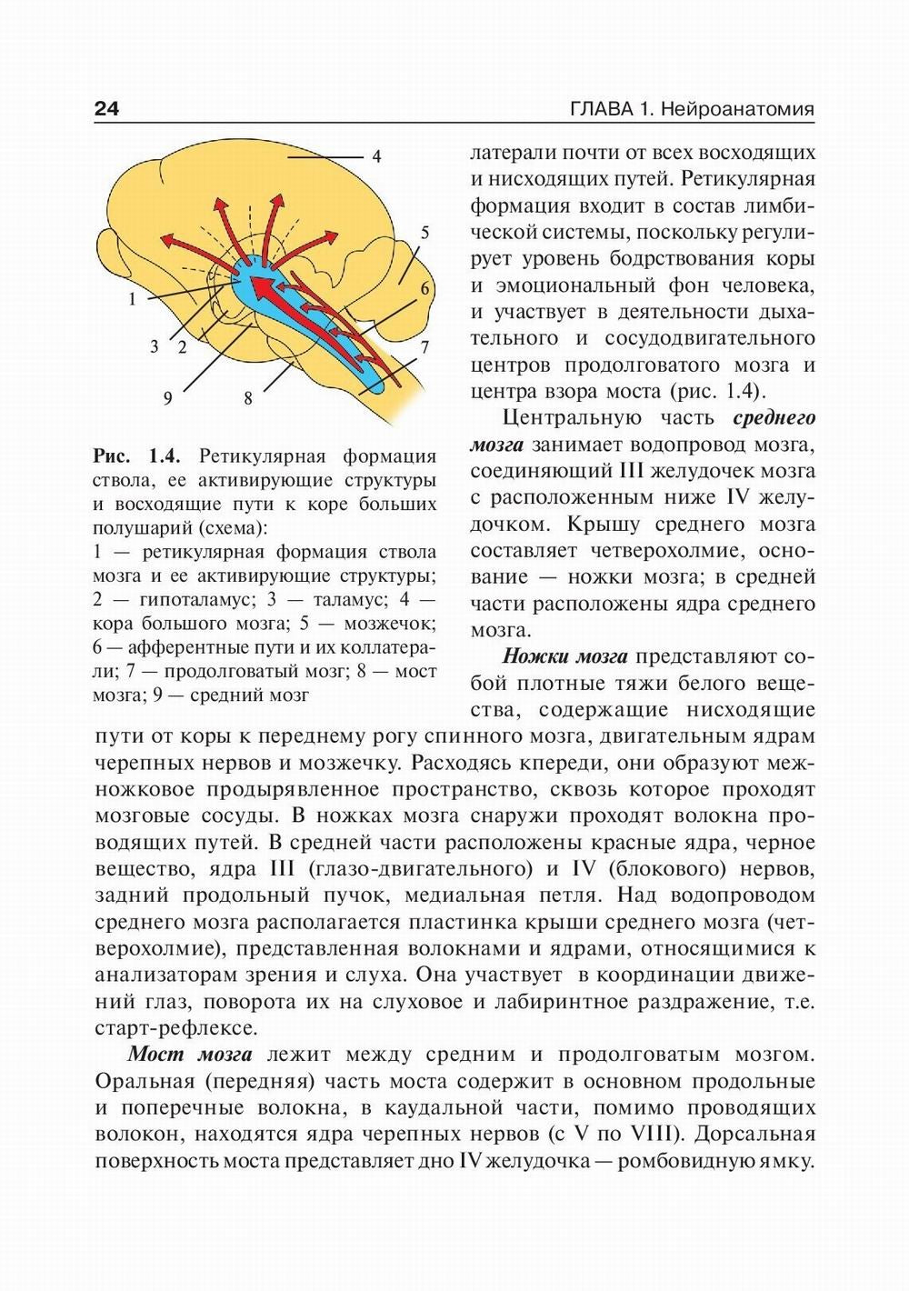 Детская неврология: Учебник. В 2 т. Т. 1