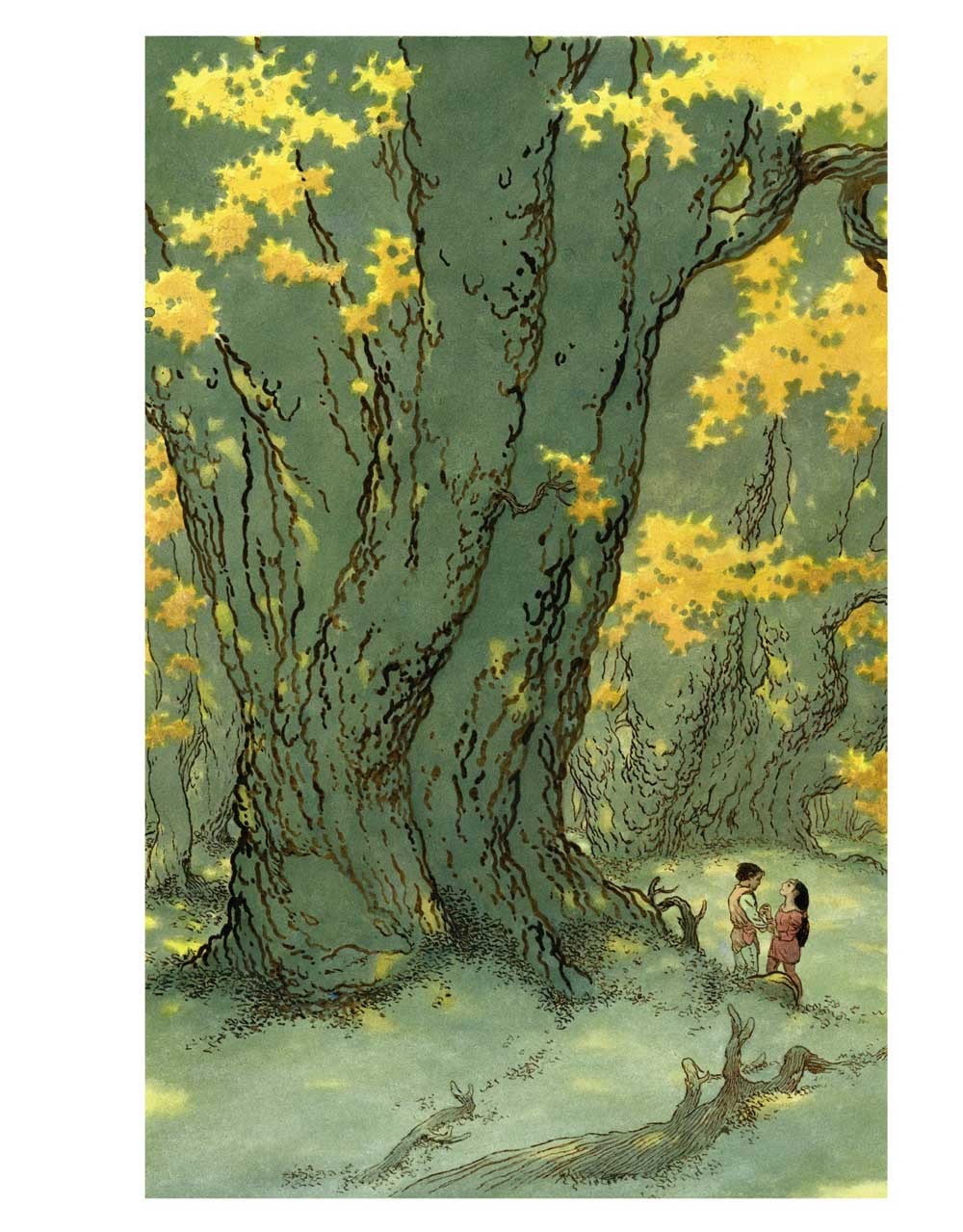 Книги Земноморья: романы, повесть, рассказы, эссе