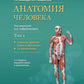 Анатомия человека. В 2 т. Т. 1. Система органов опоры: Учебник. 3-е изд., пер...