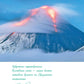 Дикая Россия: альбом неизведанных мест нашей страны. 3-е изд