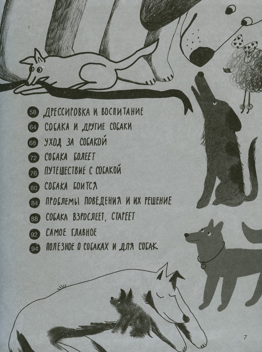 Твоя собака