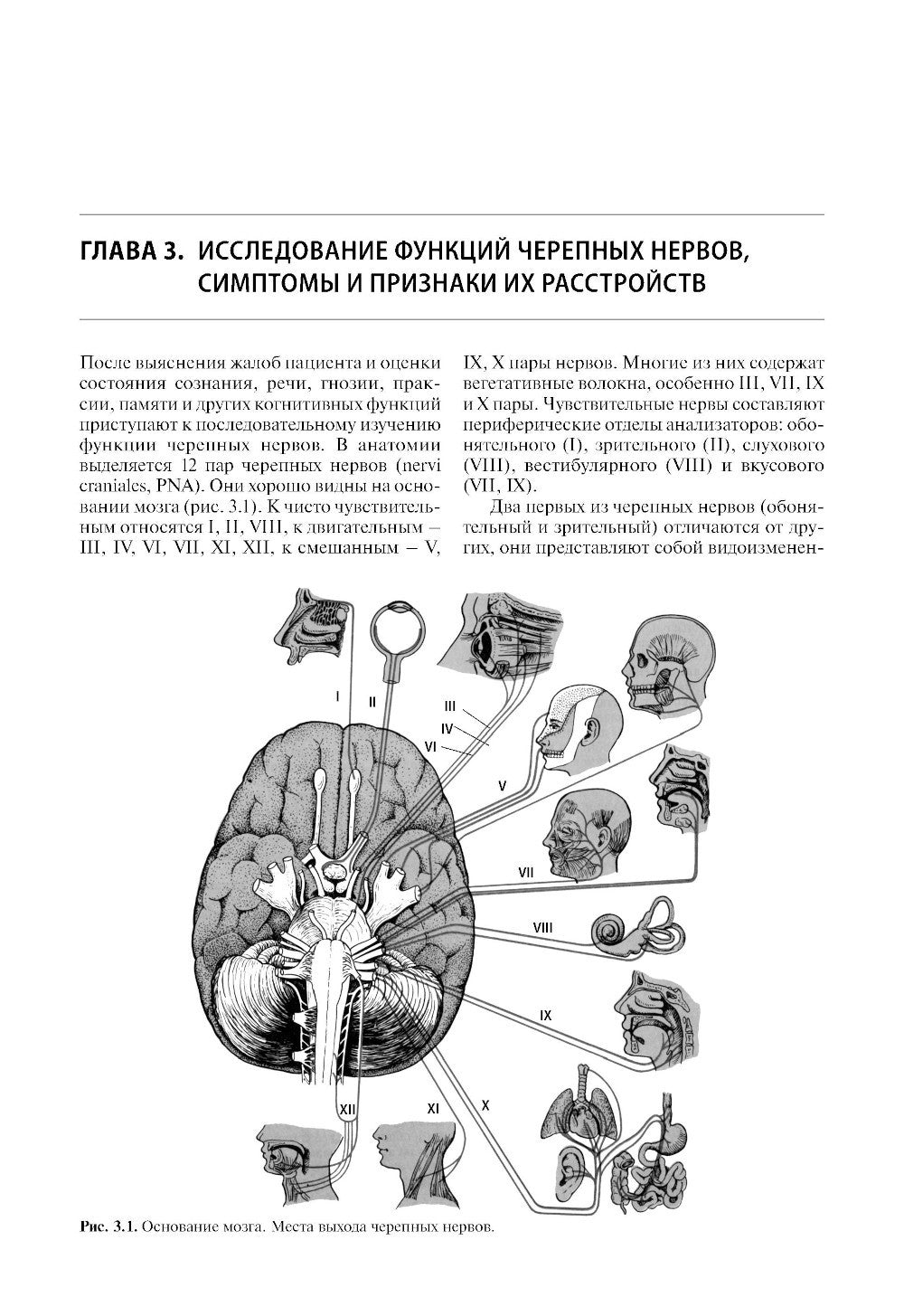 Нервные болезни: Учебник. 13-е изд