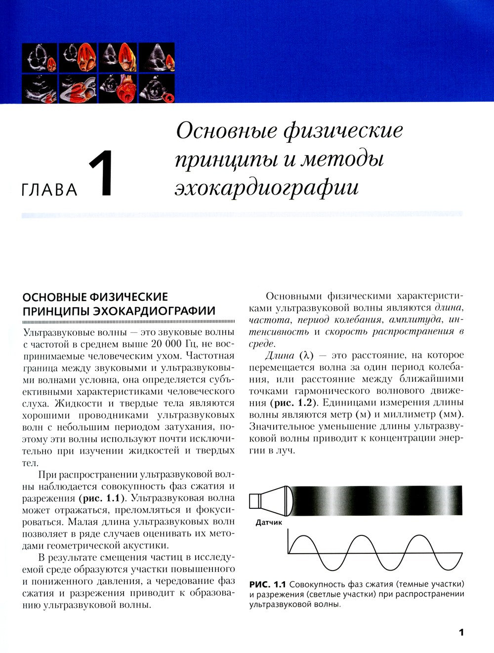 Клиническая эхокардиография: основной курс
