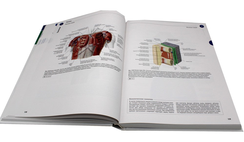 Sobotta. Атлас анатомии человека. В 3 т. Т. 1: Общая анатомия и костно-мышечн...