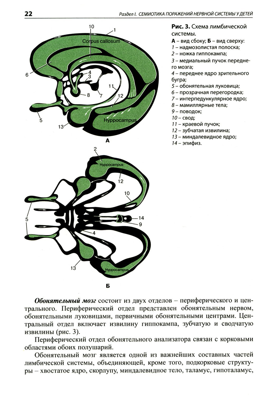 Детская неврология: Учебное пособие. 7-е изд