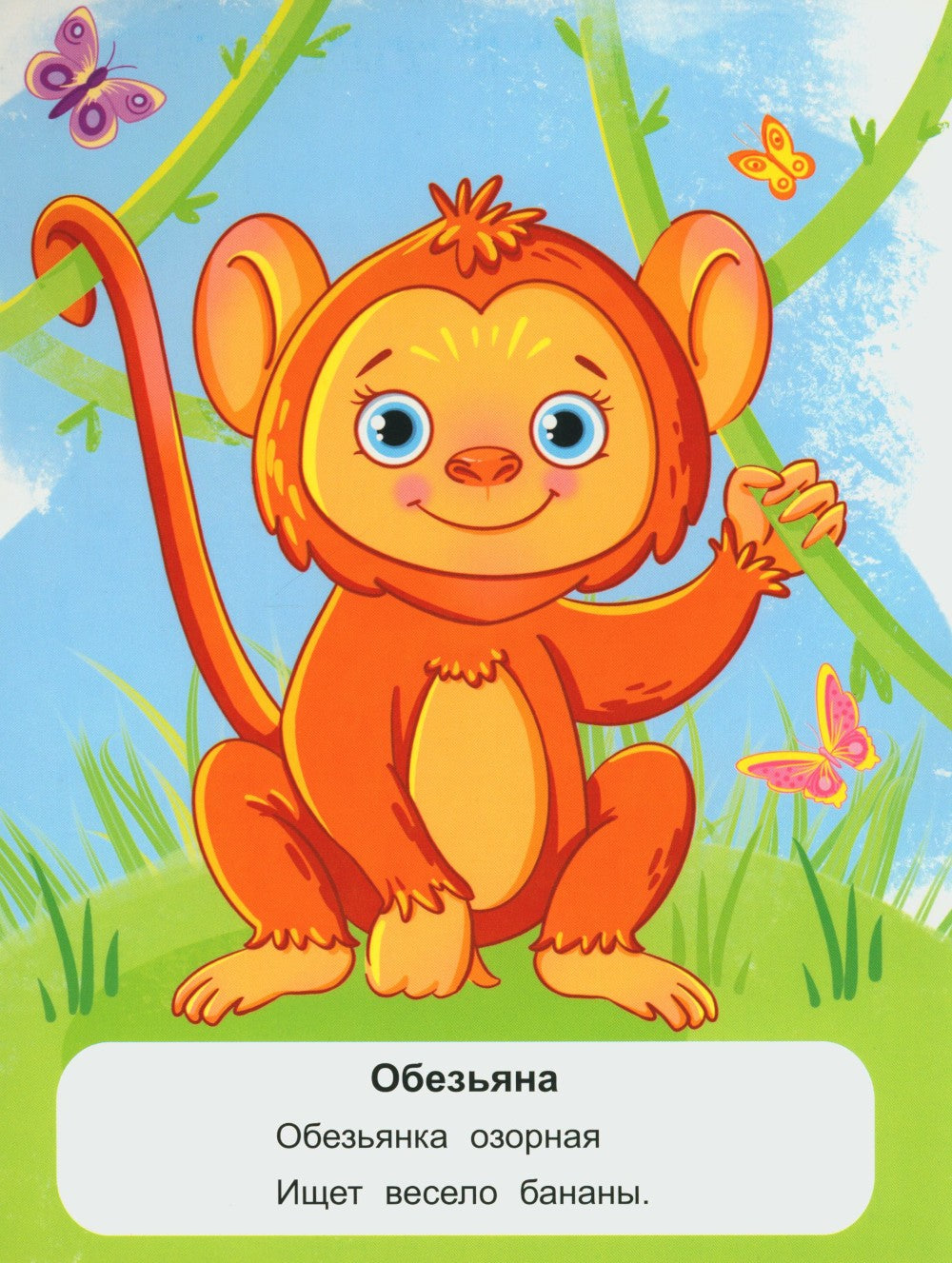 Животные жарких стран: стихи