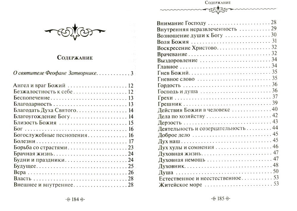 Зачем мы живем. По творениям святителя Феофана Затворника