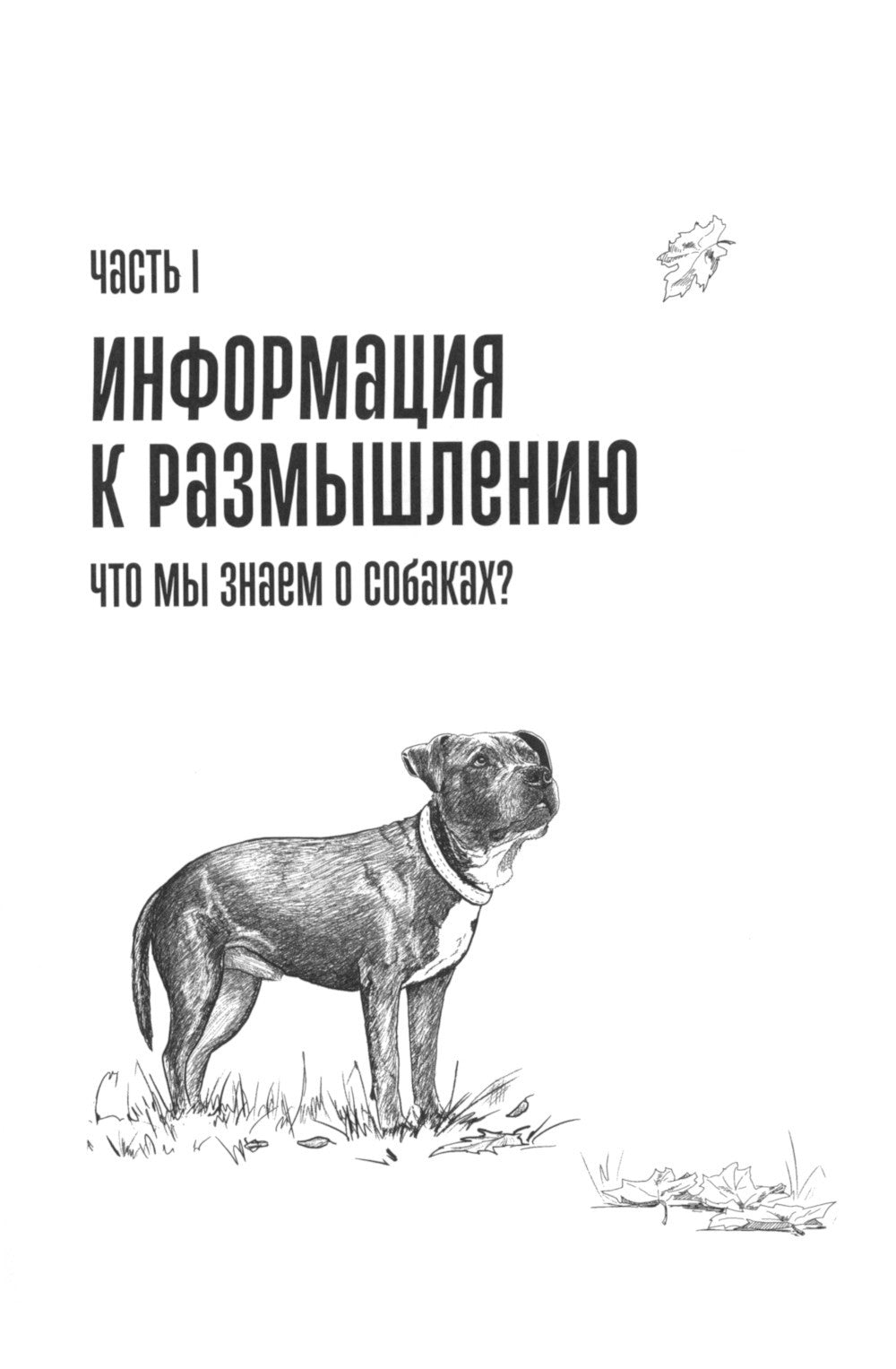 Мы, собаки и другие животные: Записки дрессировщика