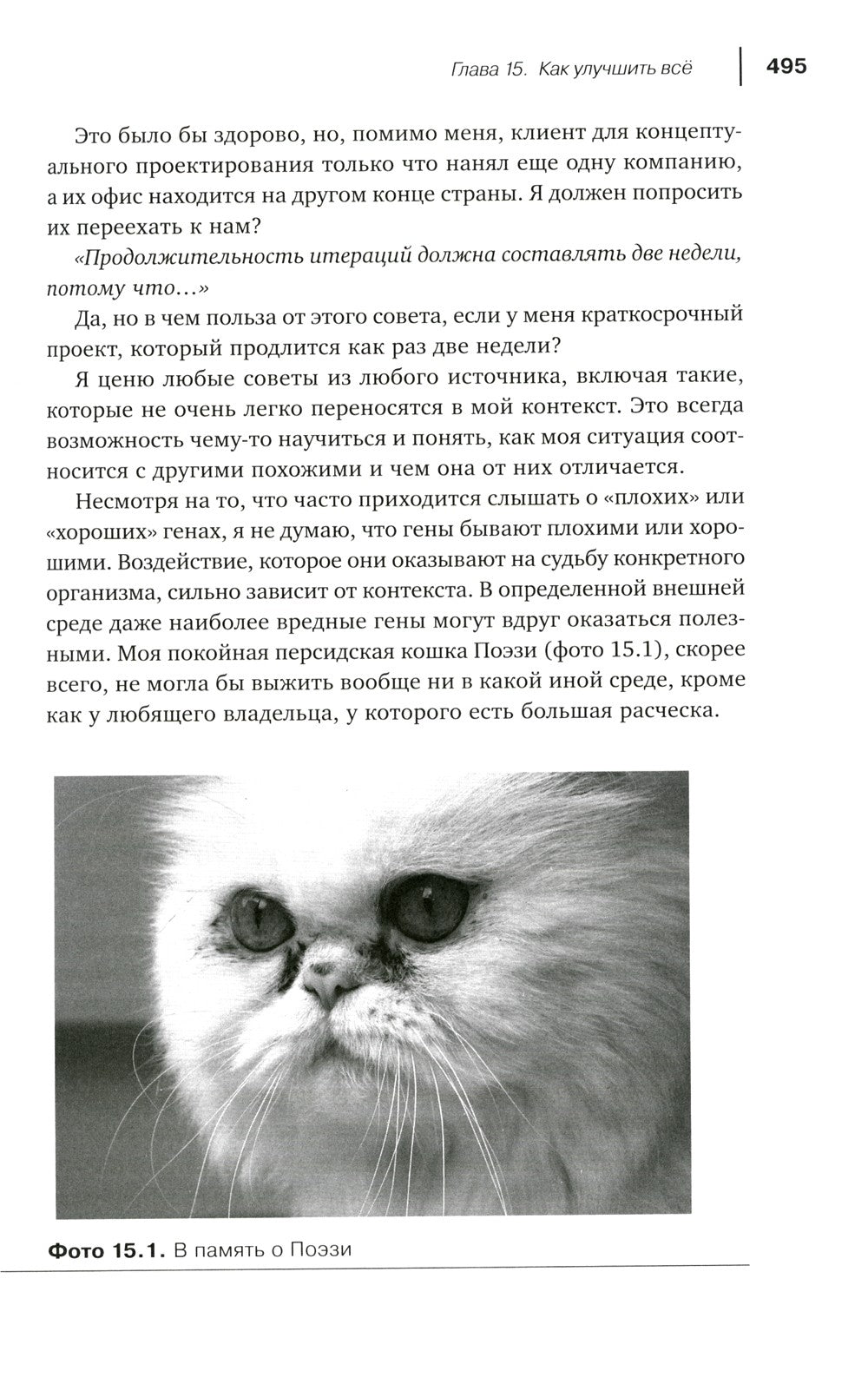 Agile-менеджмент: Лидерство и управление командами