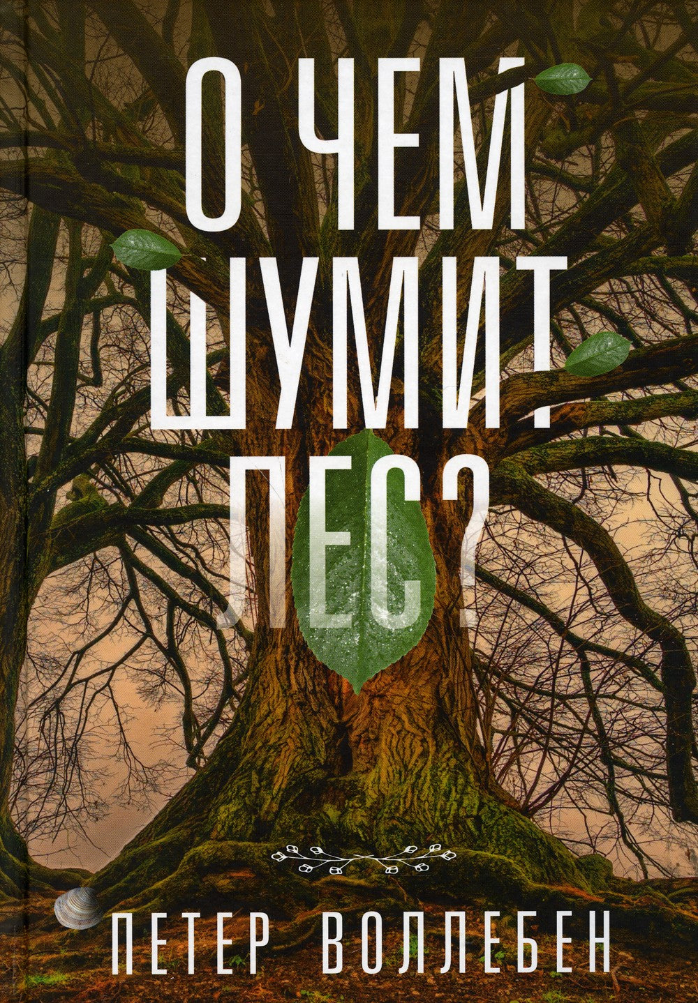 О чем шумит лес?