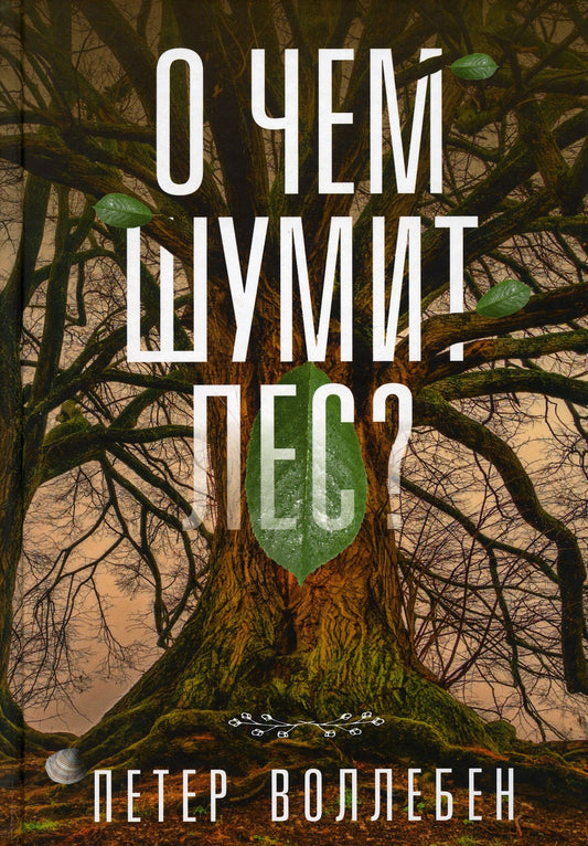 О чем шумит лес?