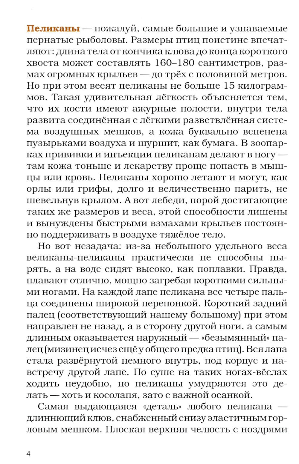 Птицы-рыболовы