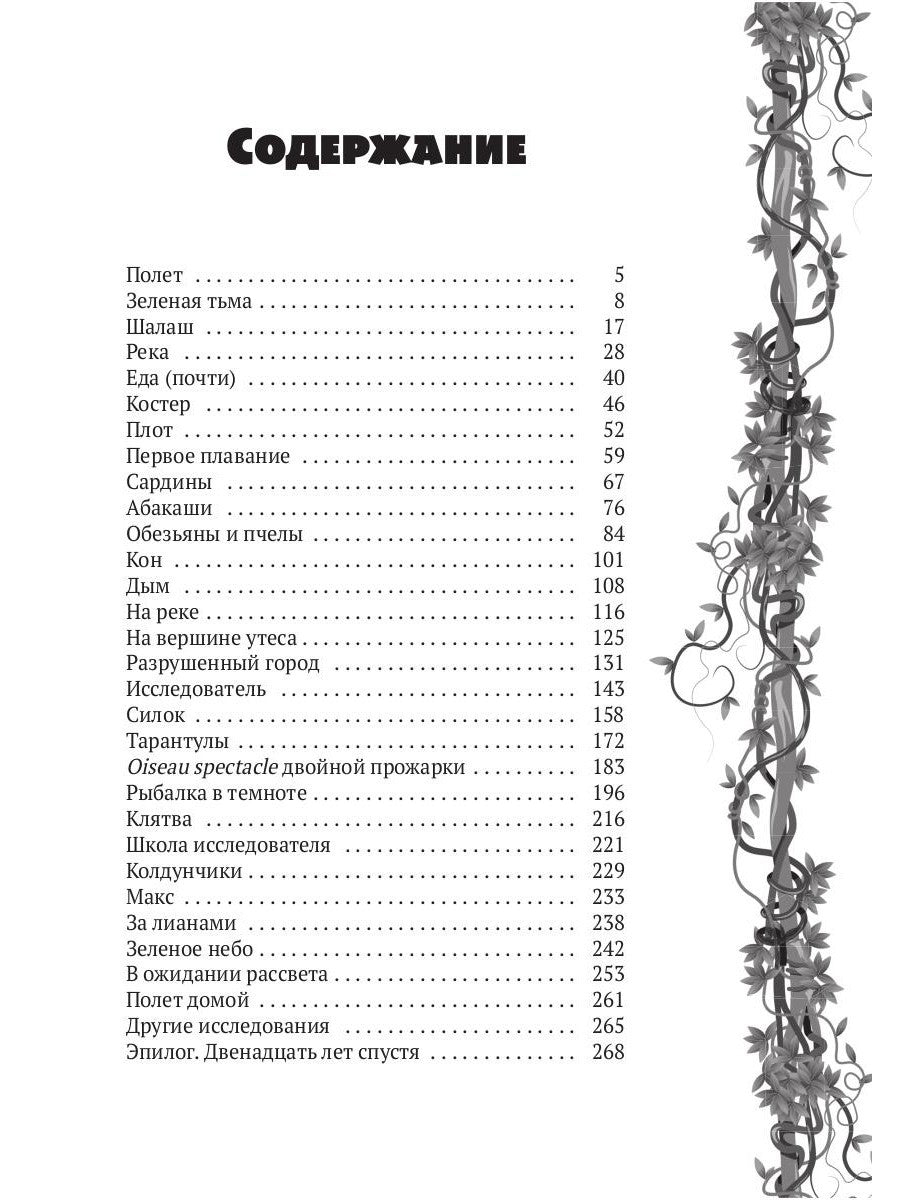 Исследователь: роман