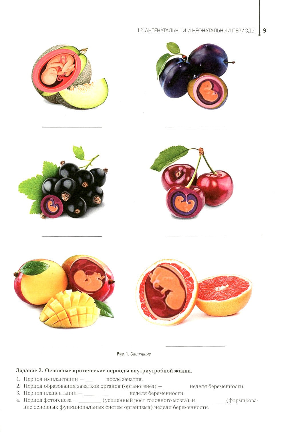 Здоровый образ жизни и профилактика заболеваний в разные возрастные периоды. ...