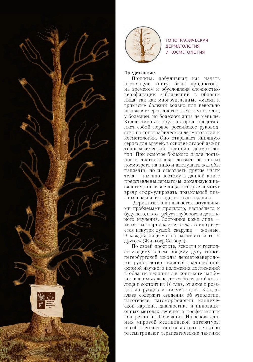 Дерматозы лица: иллюстрированное руководство для врачей