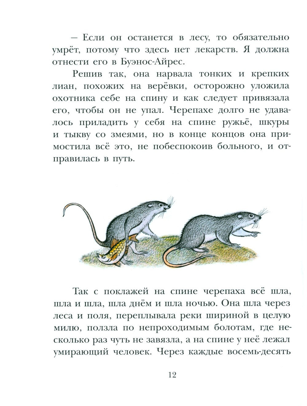 На берегах Ябебири