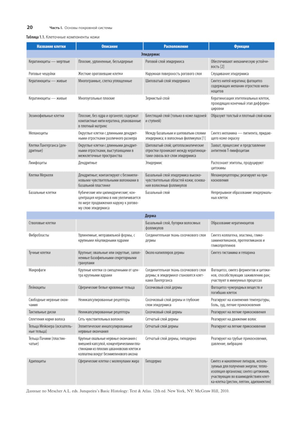 Раны. Диагностика и лечение. Атлас-справочник