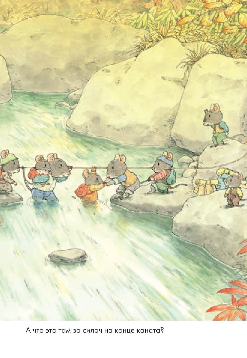 14 лесных мышей. Переезд