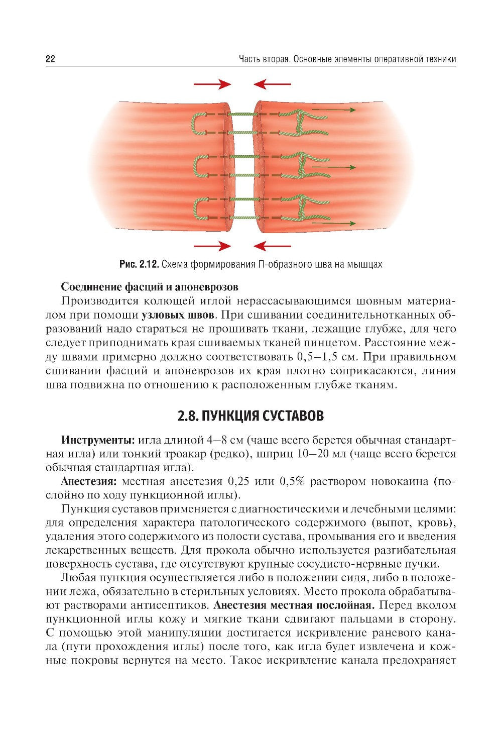Топографическая анатомия и оперативная хирургия. Руководство к практическим з...