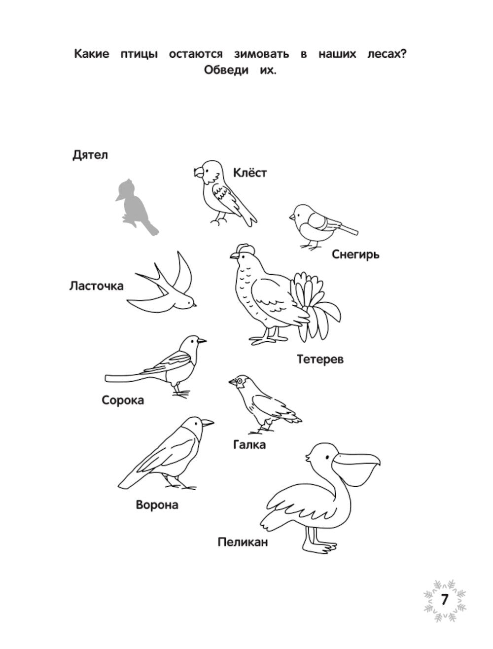 Загадки зимушки-зимы + наклейки