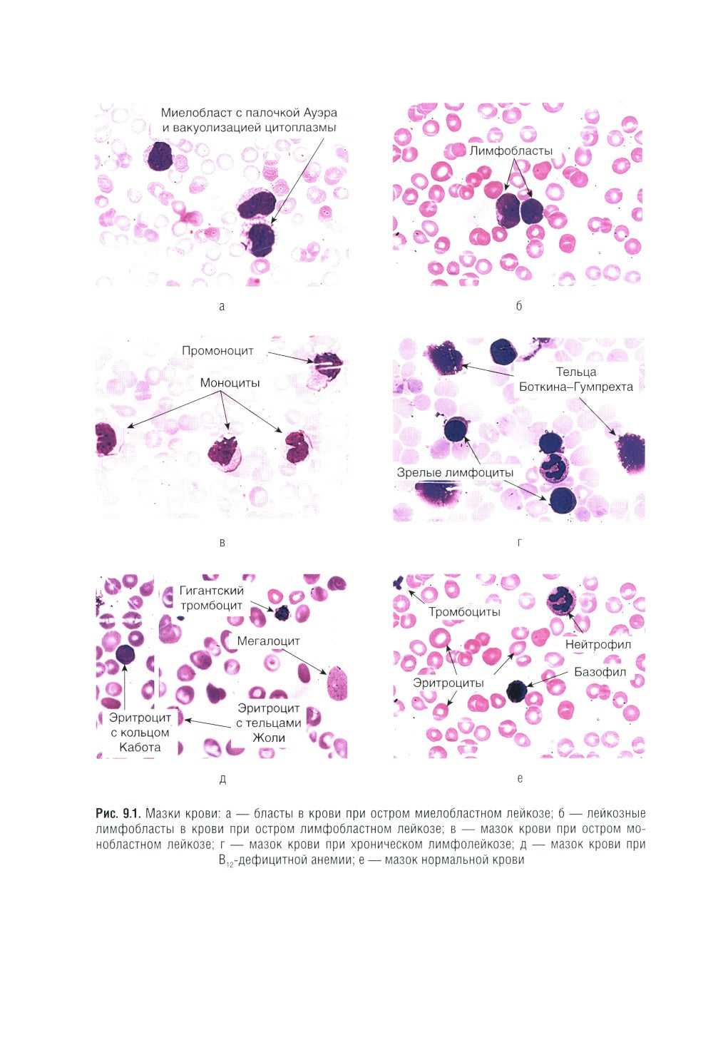 Пропедевтика внутренних болезней: Учебник. 2-е изд., перераб. и доп