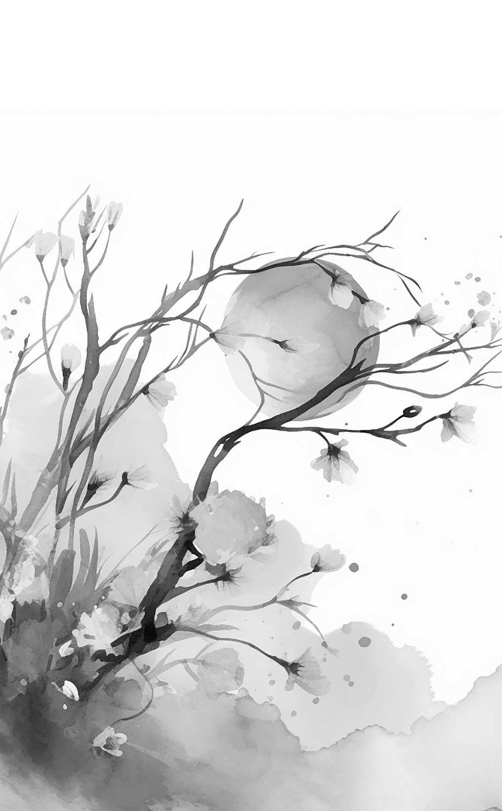 Грезы принцессы Цзюлин