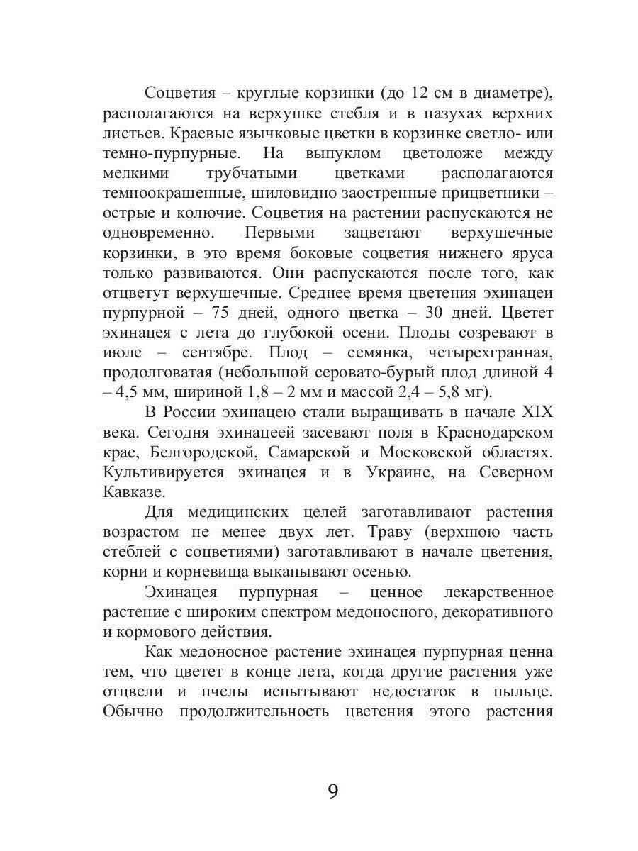 Эхинацея - ваша панацея