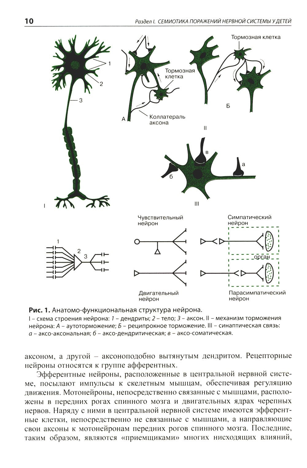 Детская неврология: Учебное пособие. 7-е изд