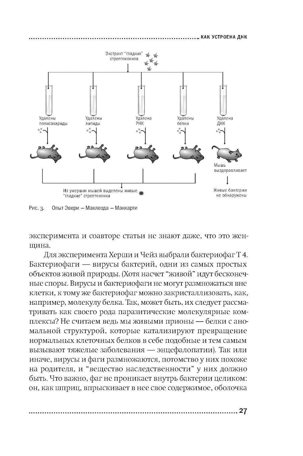 ДНК и ее человек. Краткая история ДНК-идентификации