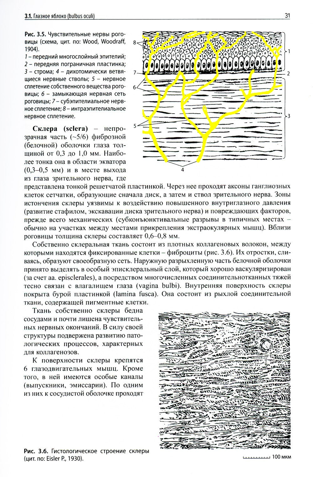Клиническая офтальмология. 5-е изд., перераб. и доп. (пер.)