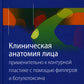 Клиническая анатомия лица применительно к контурной пластике с помощью филлер...