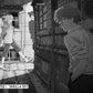 Человек-бензопила 6. Кн.11: Вперед, Человек-бензопила!: манга