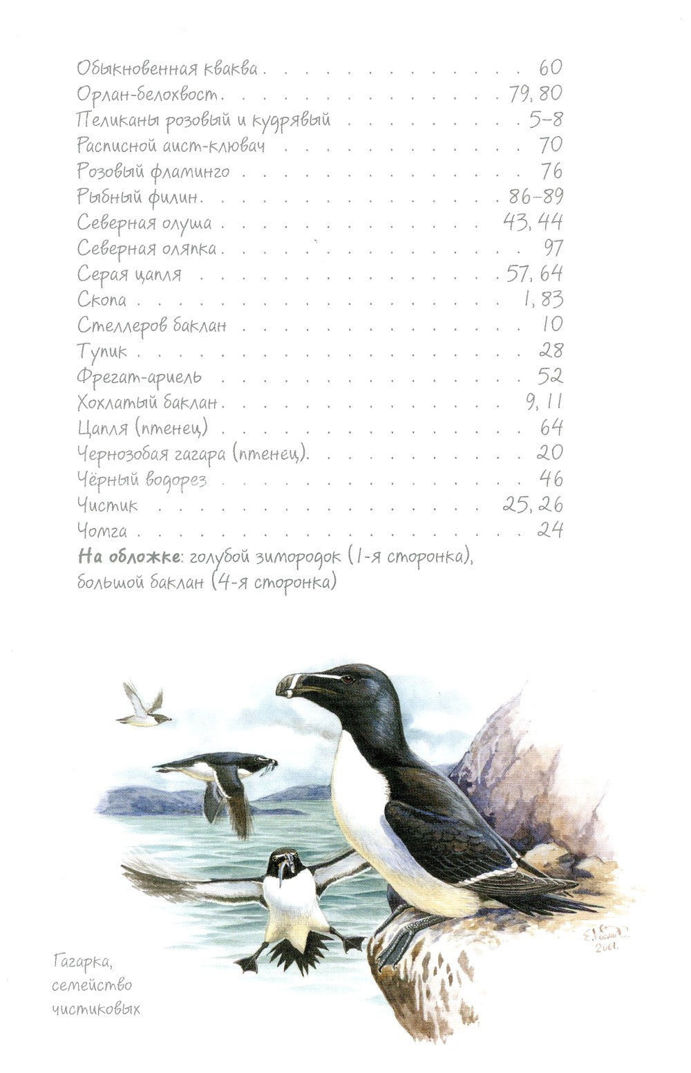 Птицы-рыболовы