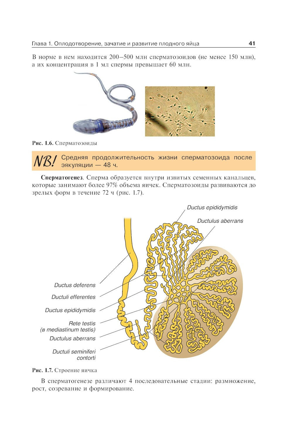 Акушерство: Учебник. 2-е изд., перераб. и доп
