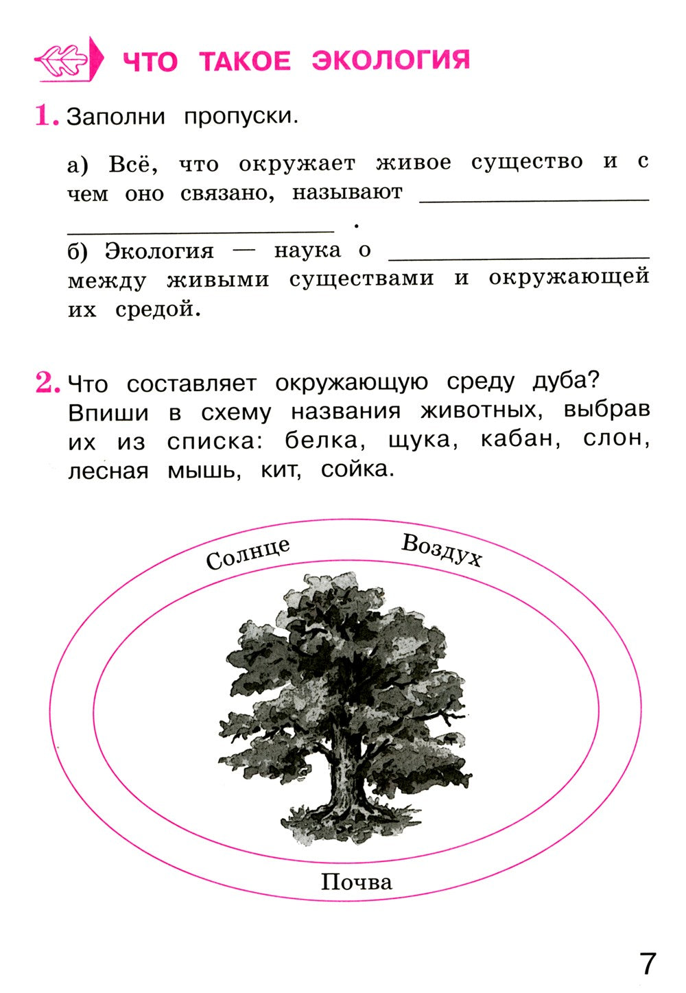 Окружающий мир 3 класс. Комплект тетрадей в 2-х частях для тренировки и самоп...